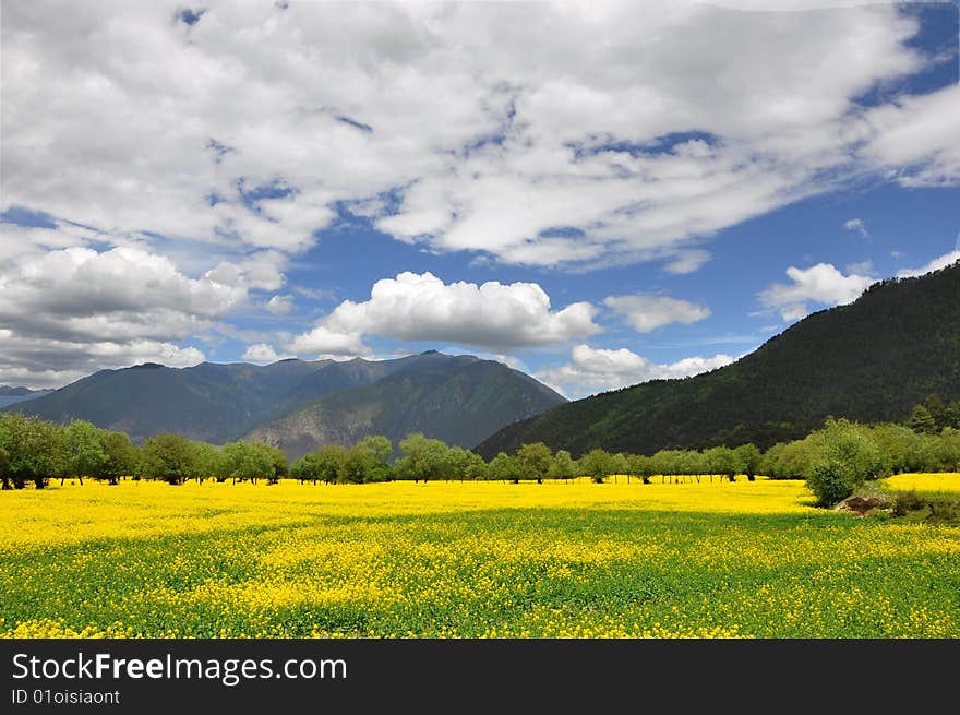 rape and cloud in Tibet