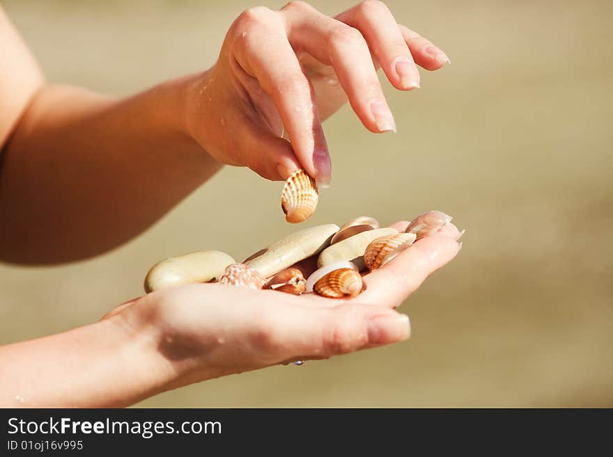 Two hands with seashell against yellow sand