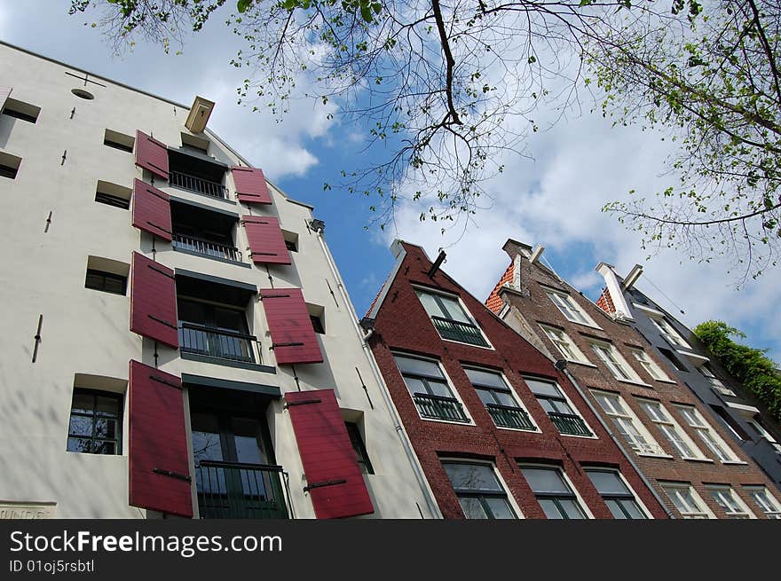 Amsterdam Canal House With A Tree