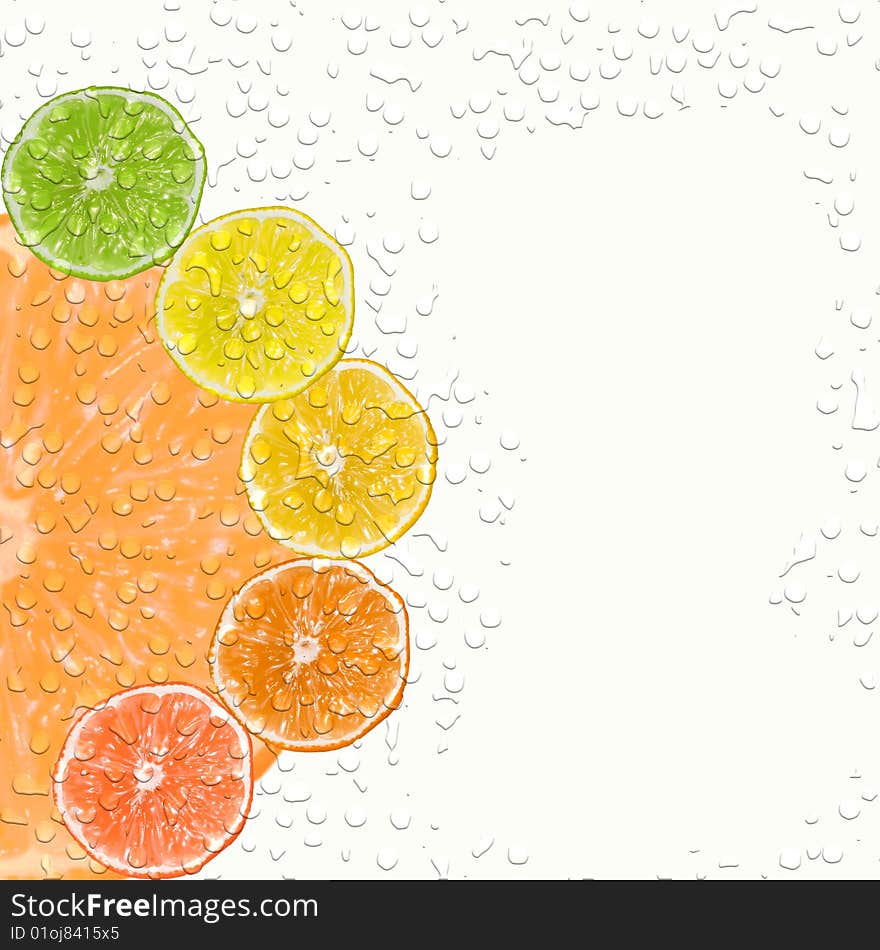 Slices of different citrus fruits cover with water drops