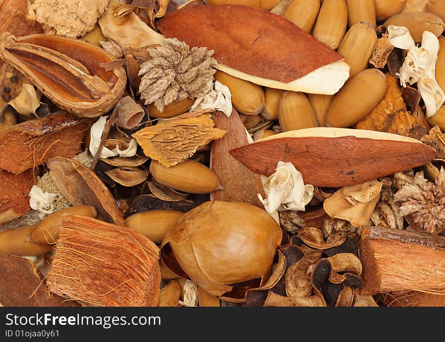 Dried plants and seeds - natural background