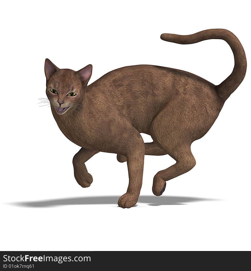 Rendering of a cat with Clipping Path and shadow over white