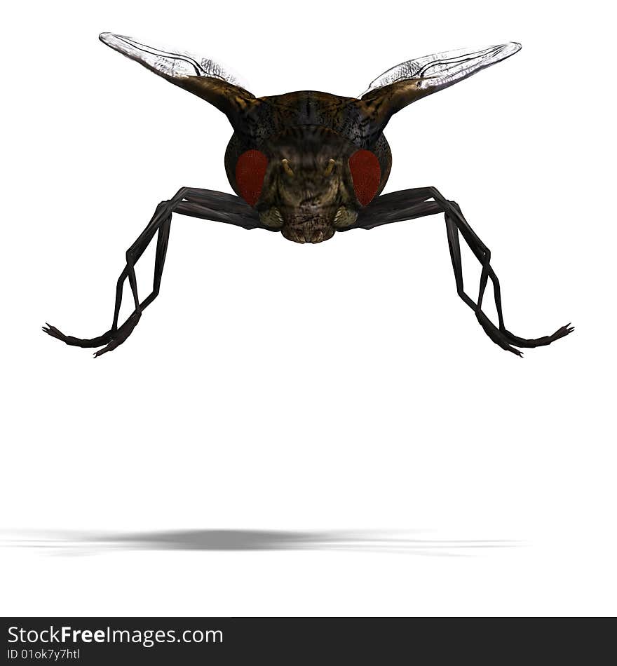 Rendering of a fly with Clipping Path and shadow over white