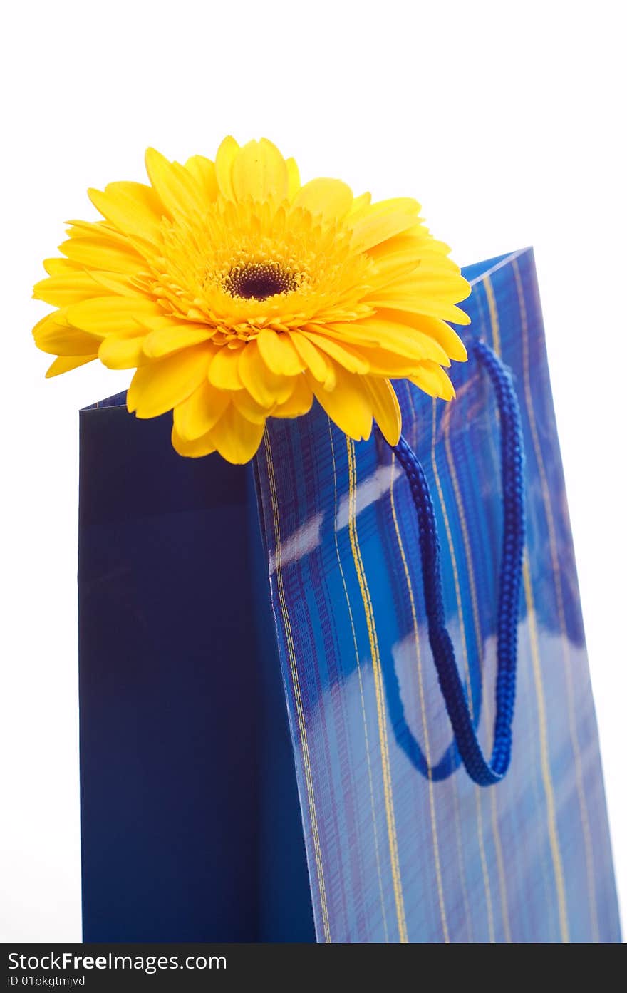 Paper Bag For Gifts