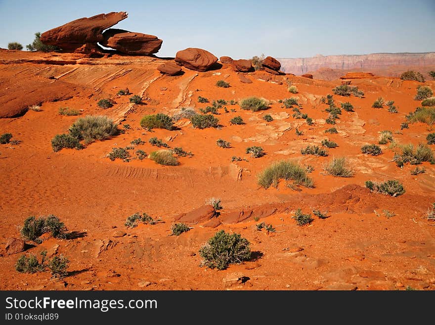 Classical american prairie, Arizona, USA