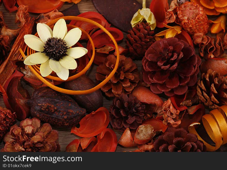 Still-life in red-orange tones with a flower