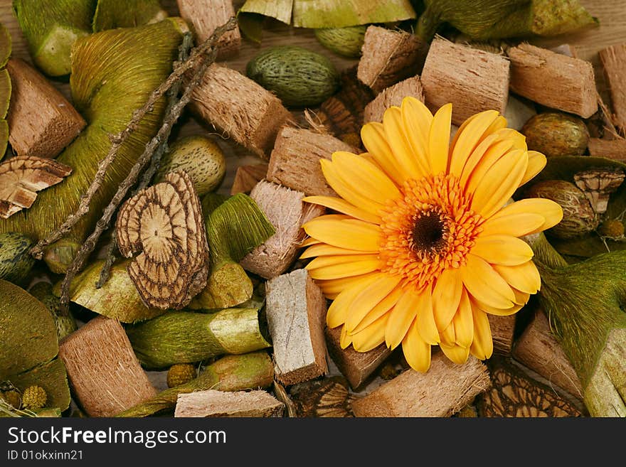 Still-life in green tones with a flower