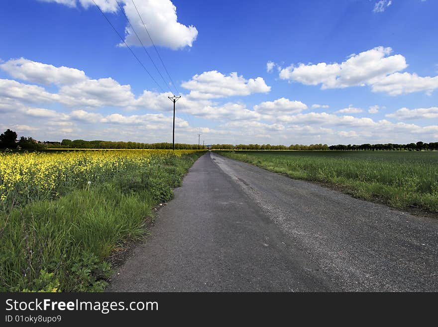 Perspective view of a country road with nice sky and rape