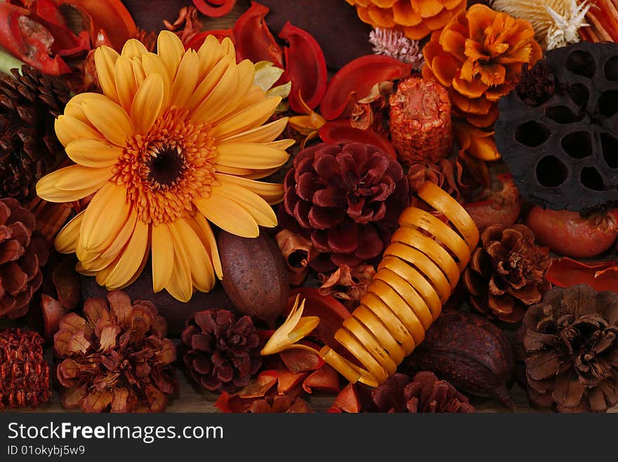 Still-life in red-orange tones with a flower