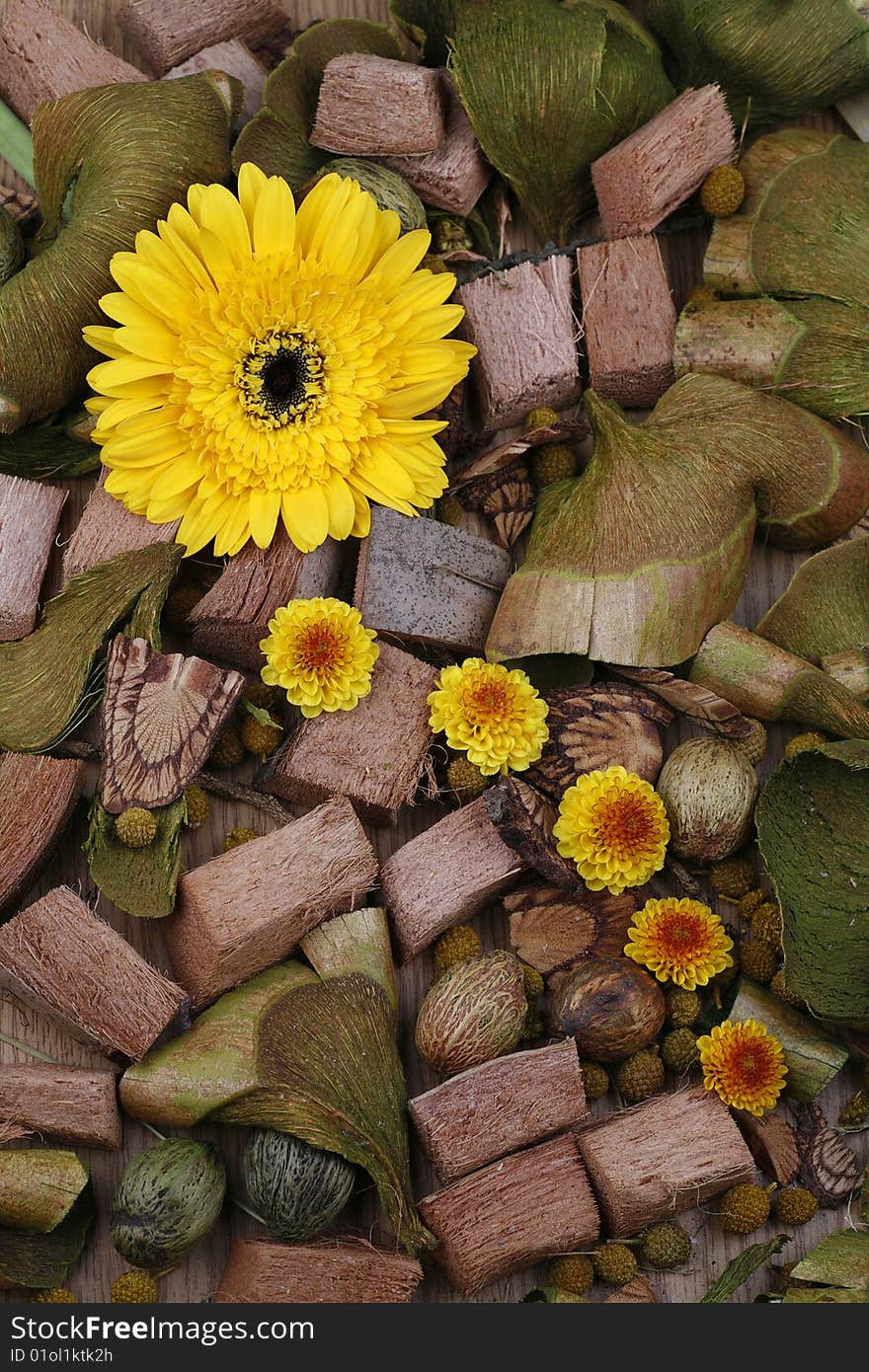 Still-life in green tones with a flower