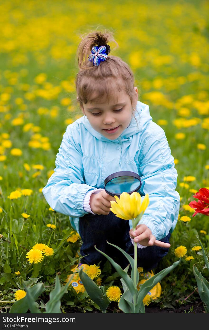 Young girl is looking through a magnifying glass and researching a flower. Young girl is looking through a magnifying glass and researching a flower