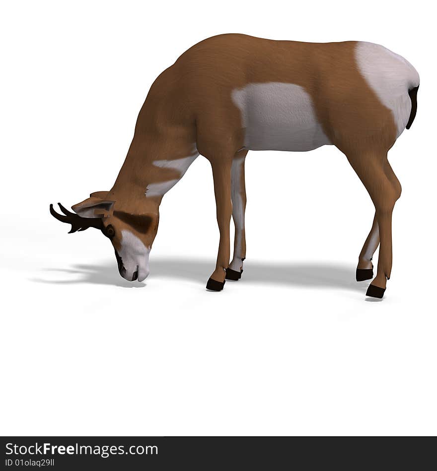 Rendering of an antelope with Clipping Path and shadow over white