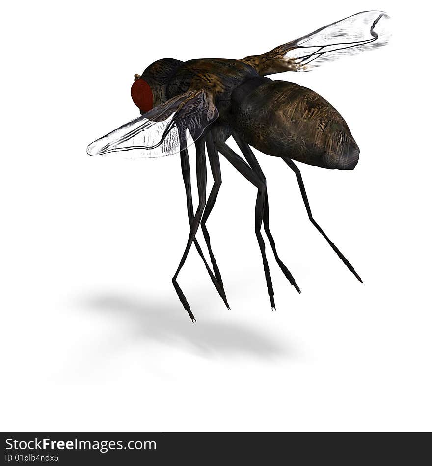 Rendering of a fly with Clipping Path and shadow over white