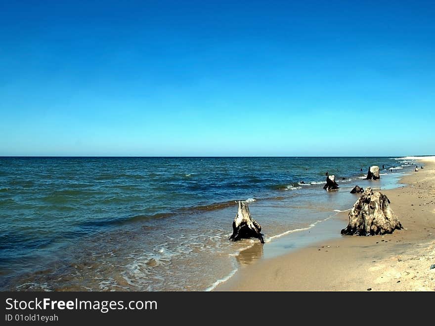 Baltic beach with pieces of wood under the sunny sky. Baltic beach with pieces of wood under the sunny sky