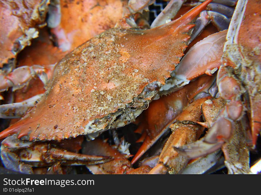 Close up of crab steamed and seasoned. Close up of crab steamed and seasoned