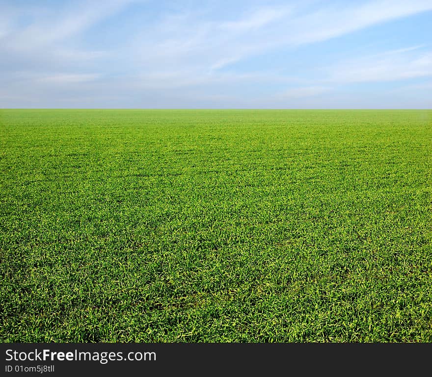 Clear blue sky over a green field - photo. Clear blue sky over a green field - photo