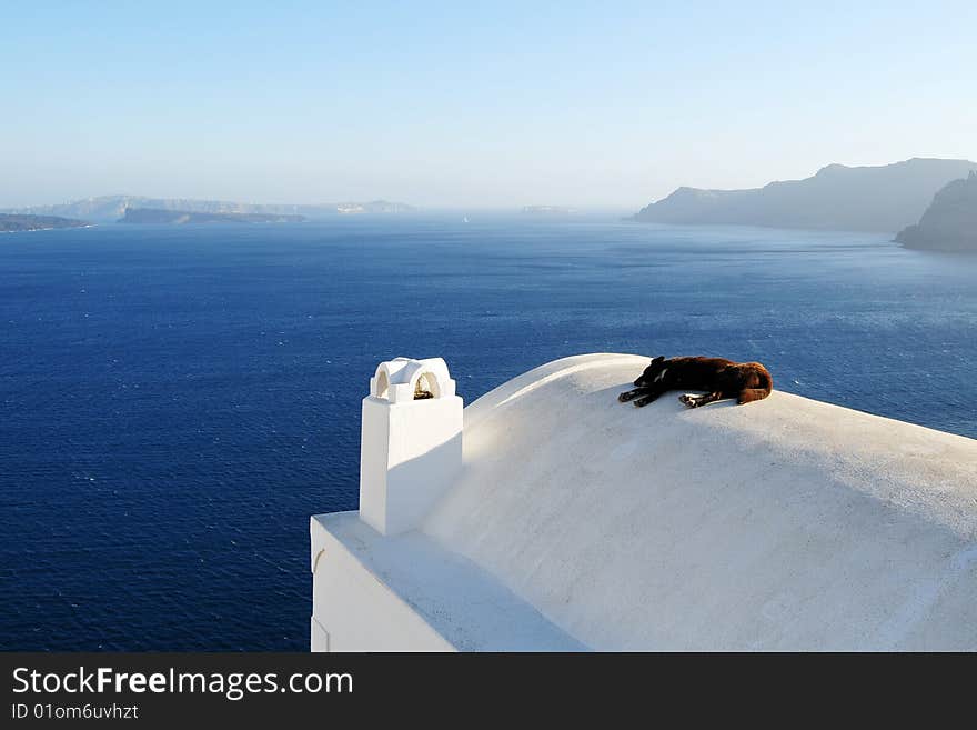 A dog sleep on the seaside white house. A dog sleep on the seaside white house