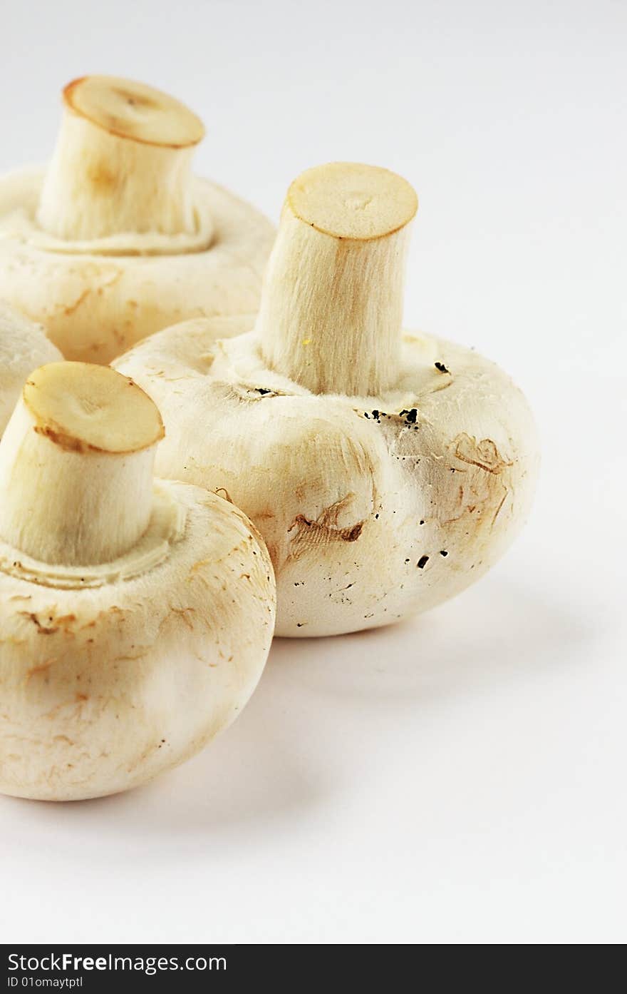 Details of three champignon on a with background