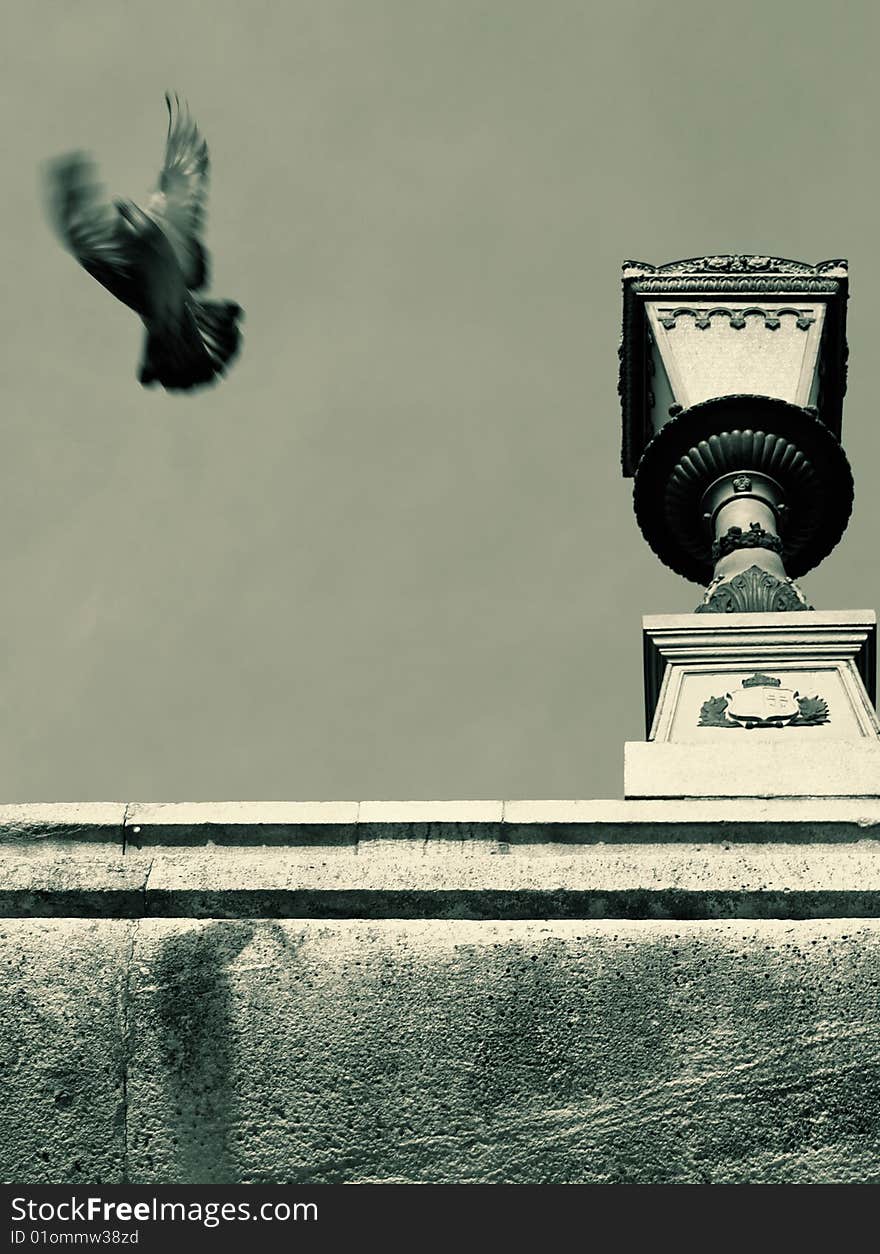 Flying dove with a lamp