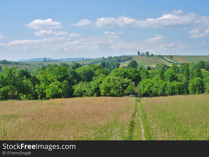 Rural landscape