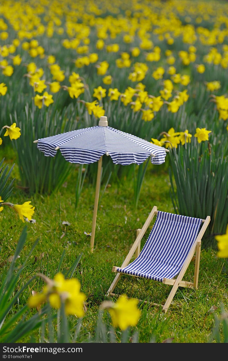 Meadow with daffodils, sunbed and parasol. Meadow with daffodils, sunbed and parasol