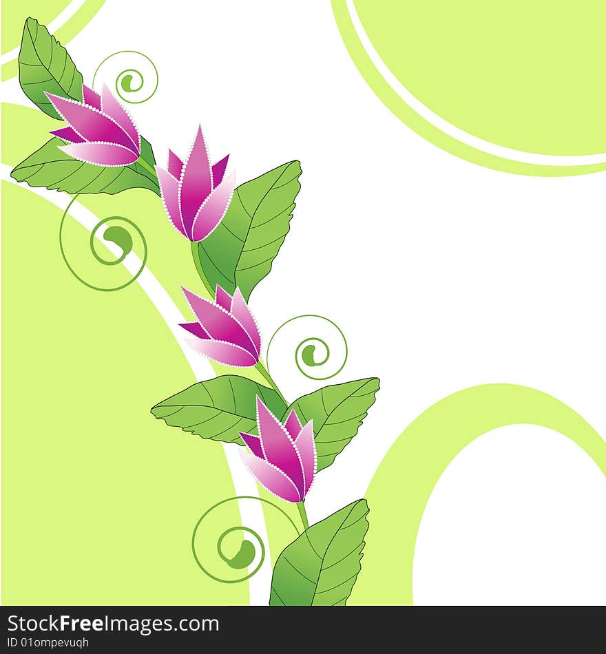 Summer background with flowers and leaves. Summer background with flowers and leaves