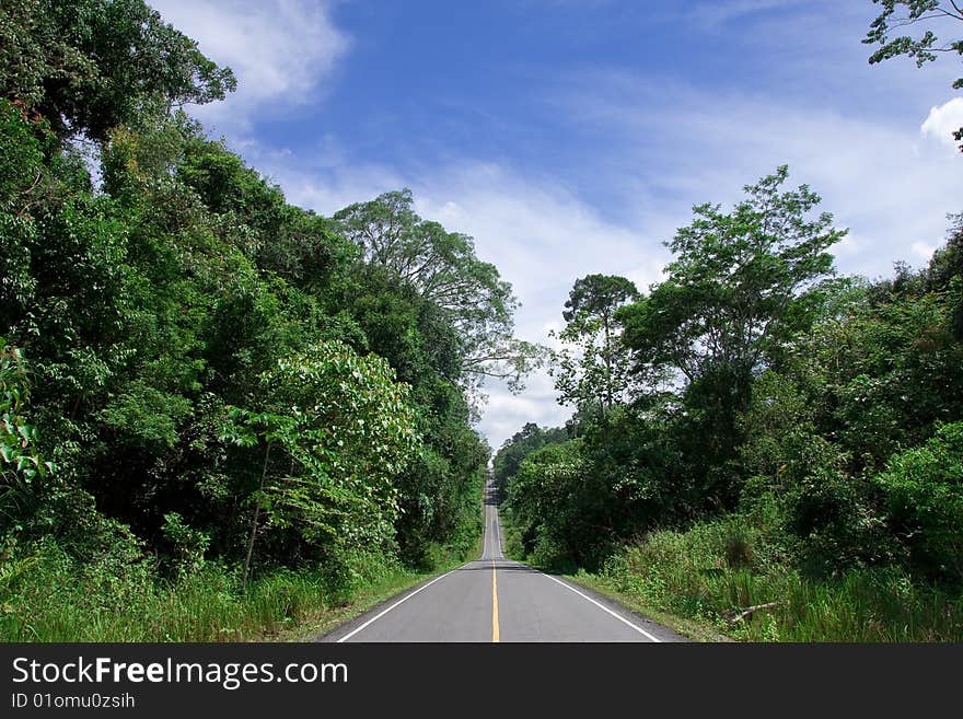 Road in forest of national park, Thailand