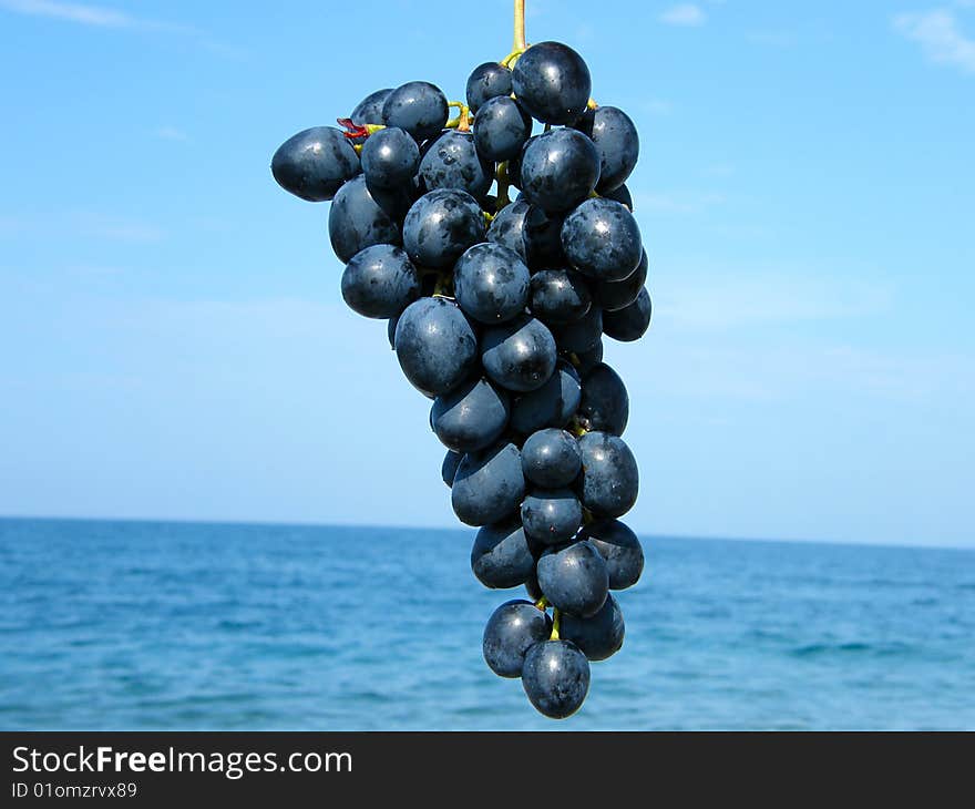 Bunch of ripe grapes against the sea and sky background