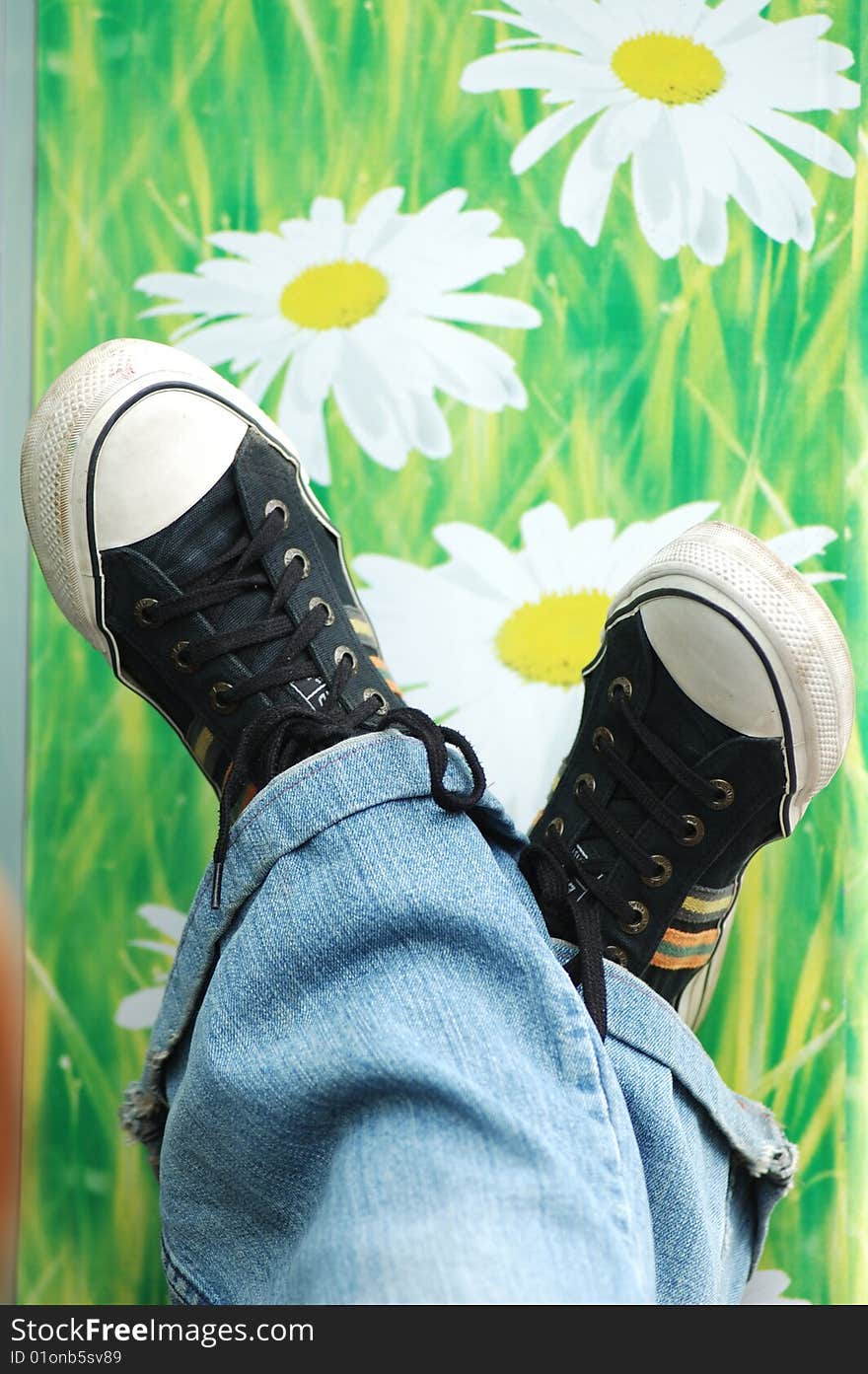 The legs, dressed in jeans and black canvas sneakers on the background pattern with daisies.