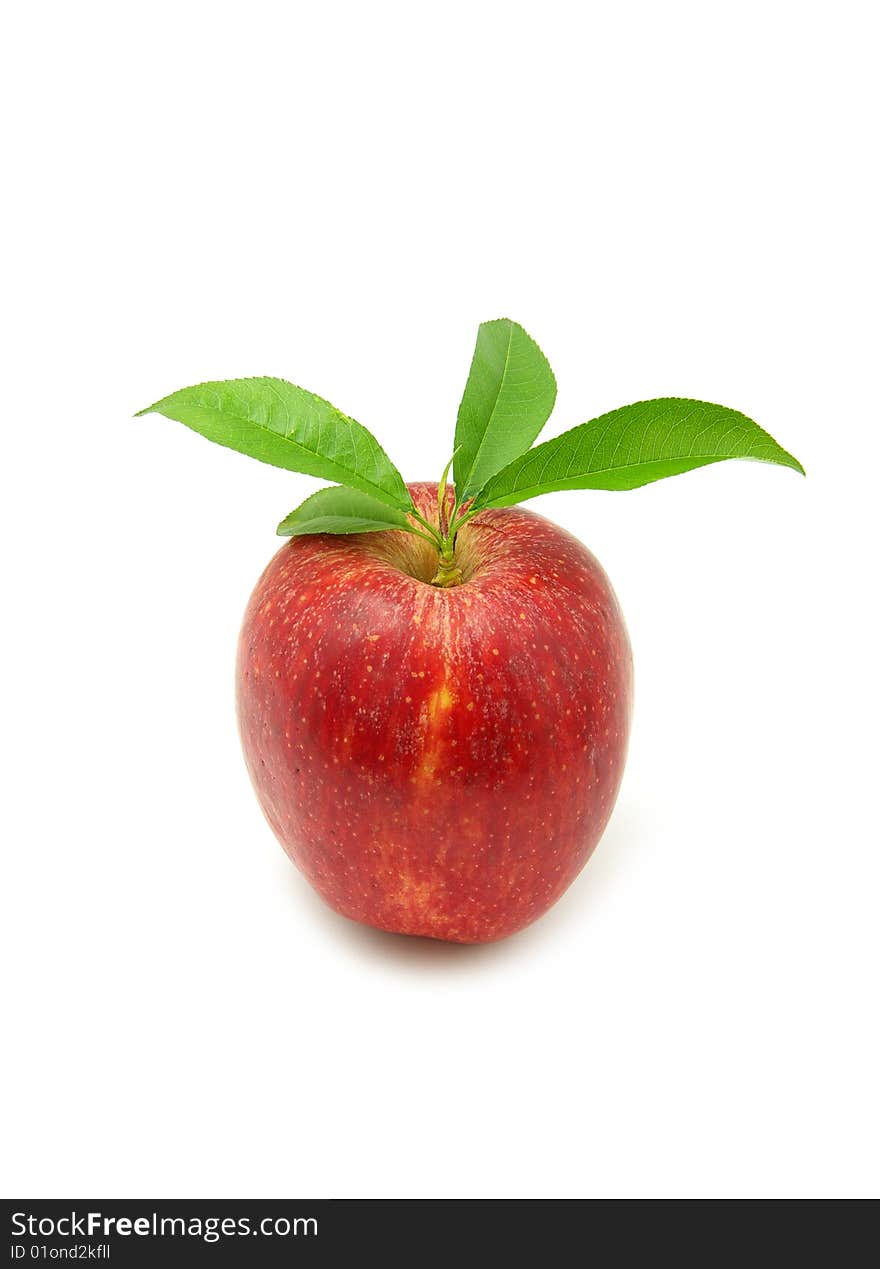 Ripe apple on a white background