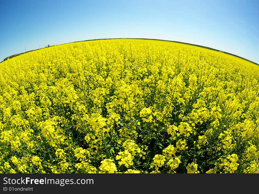 field and clouds in sky