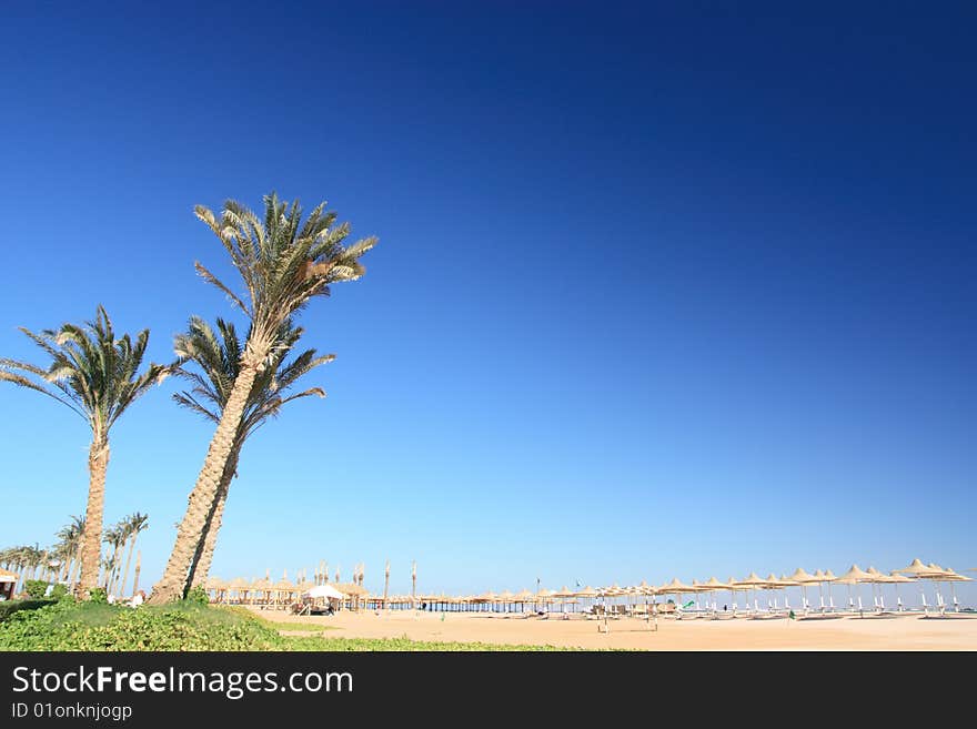 Blue sky, palm and umbrellas on the beach. Blue sky, palm and umbrellas on the beach.