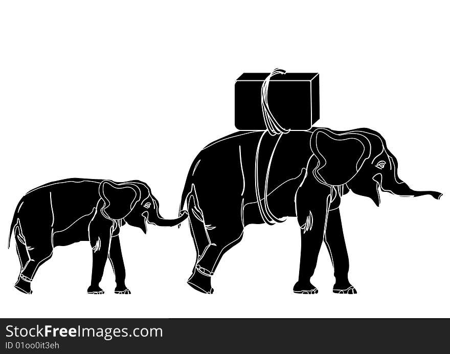 Small elephant keeps mum over the tail. These travelers. Small elephant keeps mum over the tail. These travelers