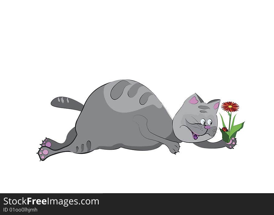 Gray cat watching for insects, while holding the paw in Flower. Gray cat watching for insects, while holding the paw in Flower