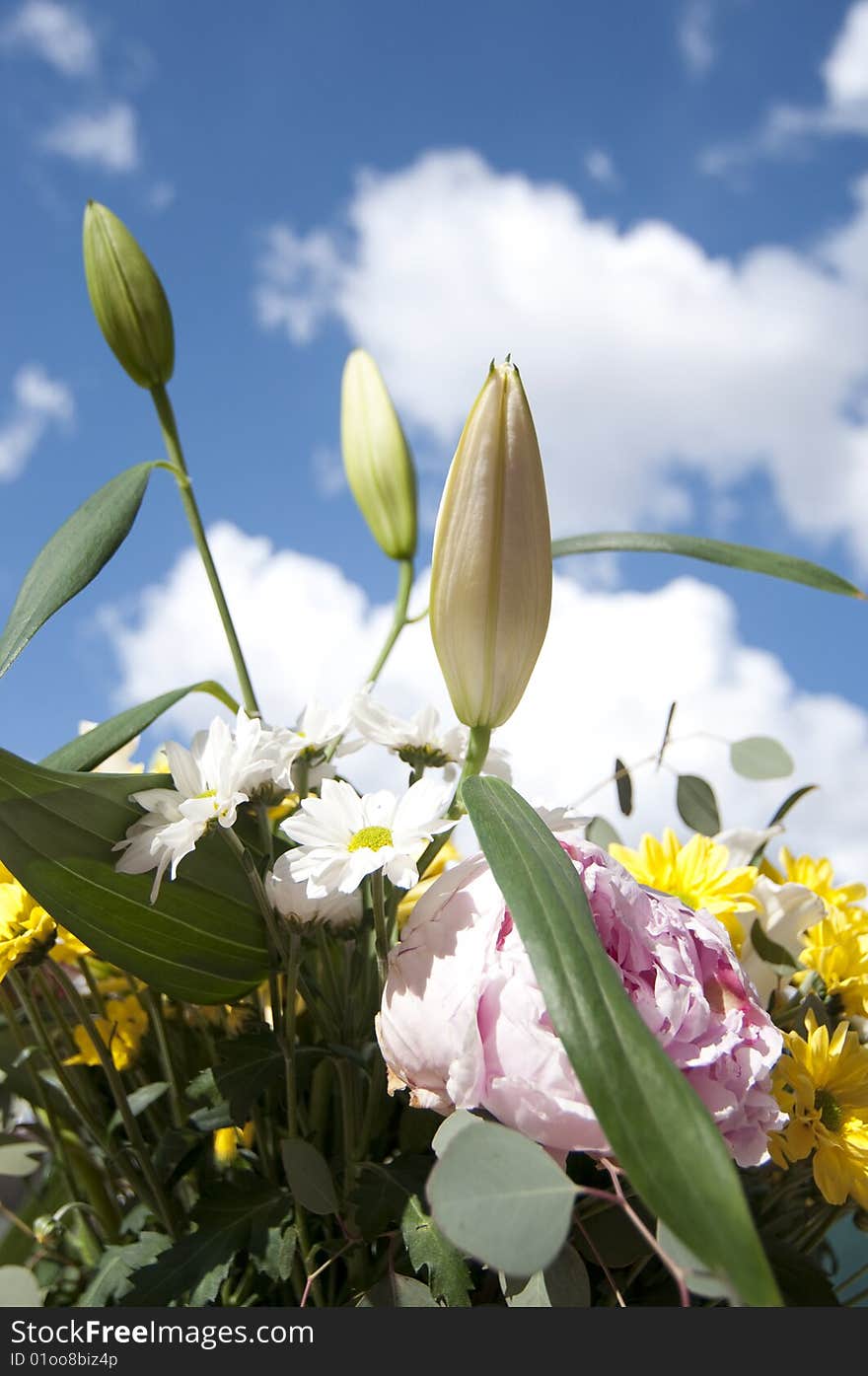 Flowers over clouds and sky