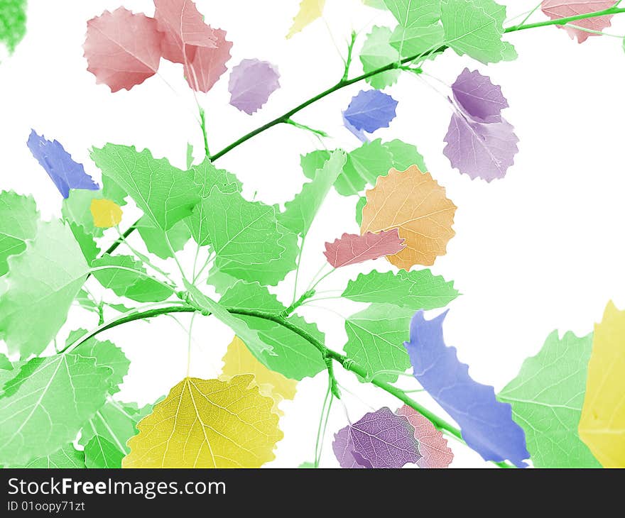 Illustration of colorful leaves trees. Illustration of colorful leaves trees