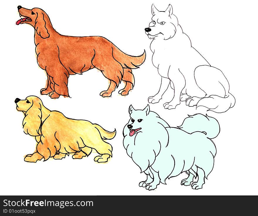 Four dogs on a white background