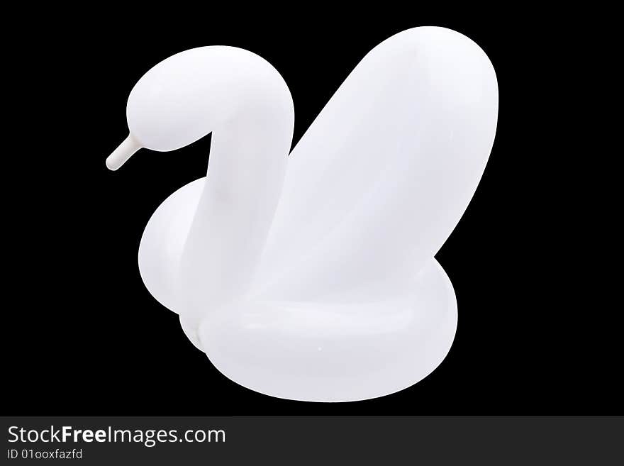 White isolated swan on black background. White isolated swan on black background