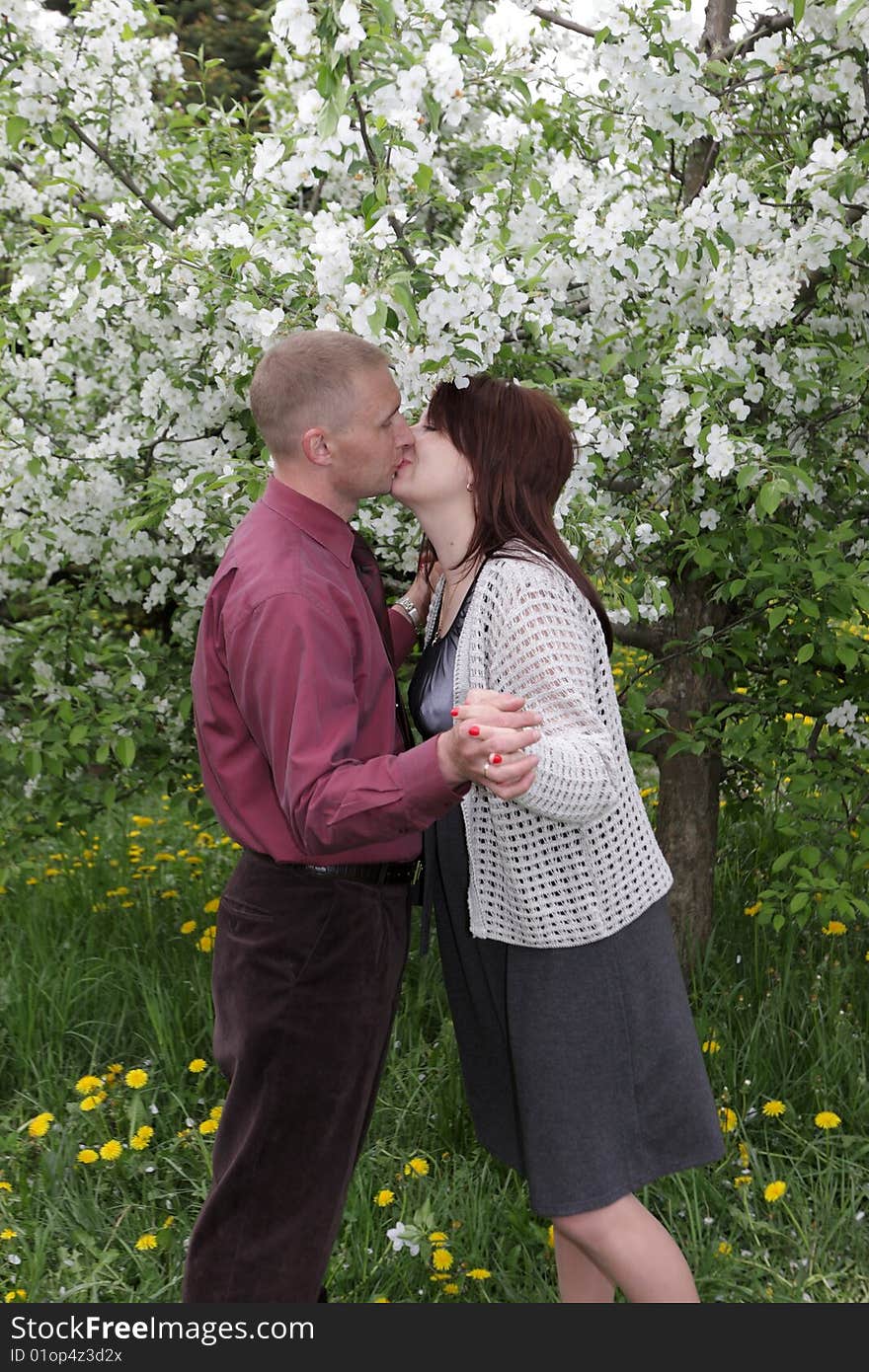 The kiss in a spring park, Russia. The kiss in a spring park, Russia