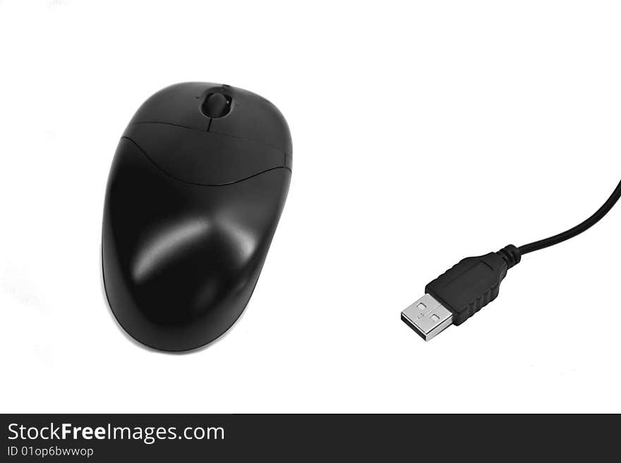 Black Computer Mouse