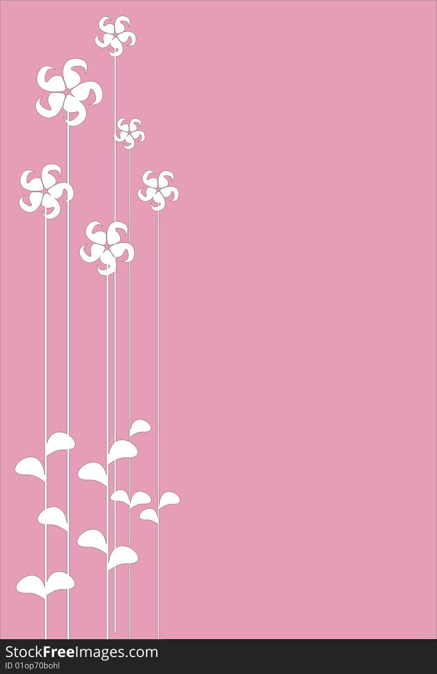 Floral collection on pink background