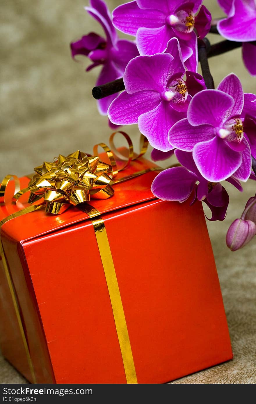 Gift box with orchid