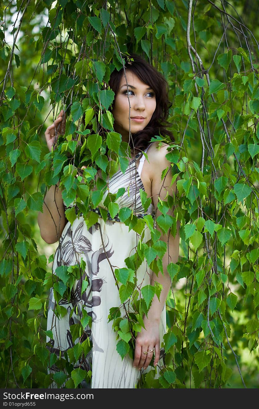 Girl in a birchwood