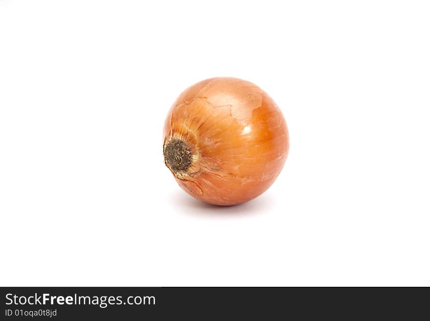 One Onion Isolated