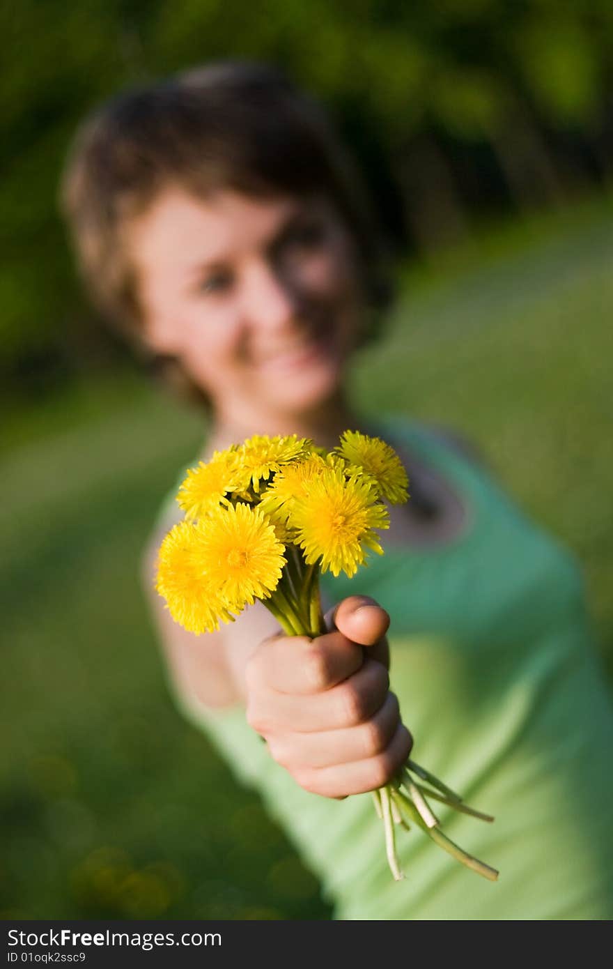 Bunch of dandelions