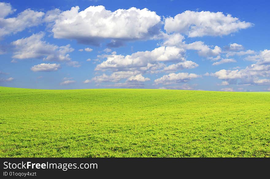 Field on a background of the blue sky