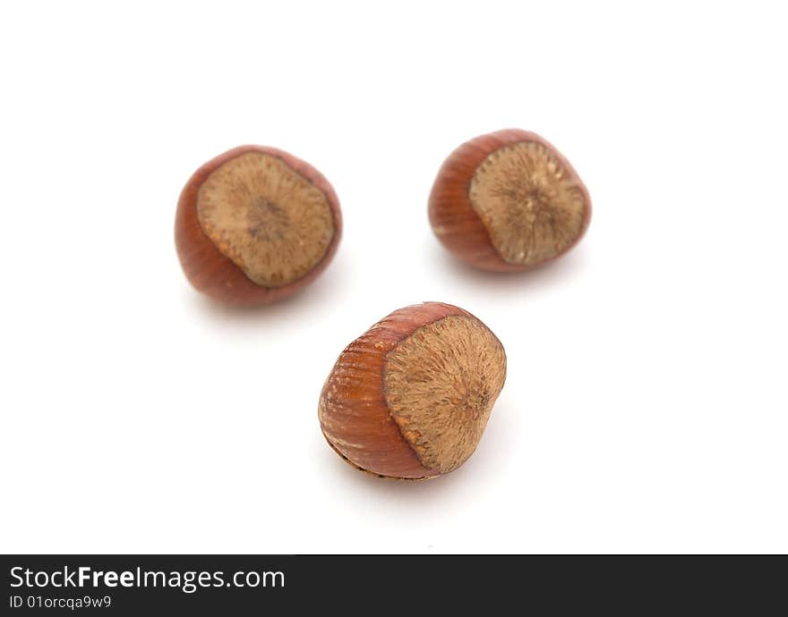 Isolated hazelnuts