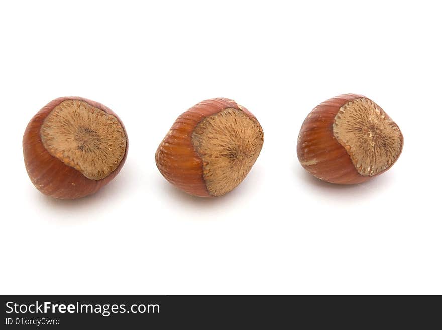 Three hazelnuts isolated on white