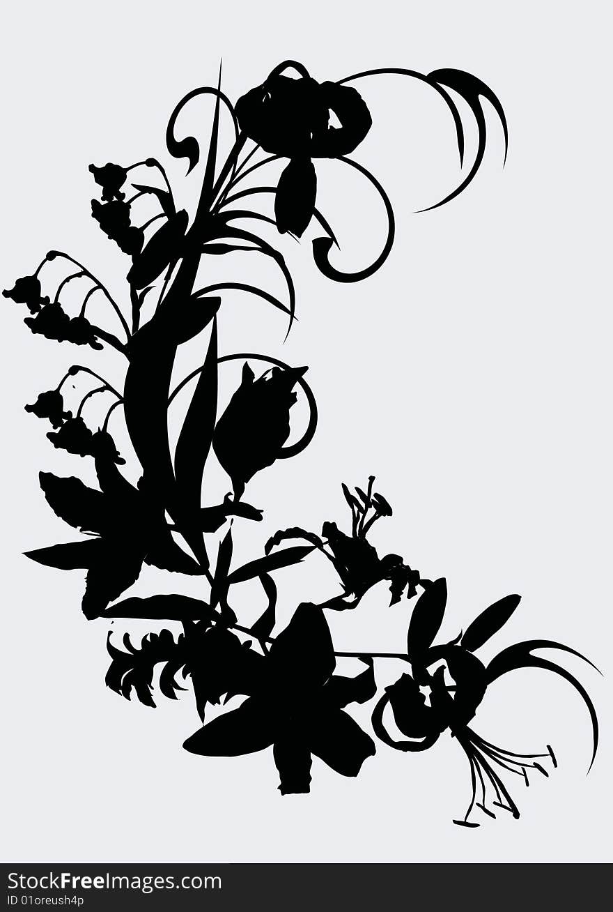 Illustration with lily ornamental silhouette isolated on gray background. Illustration with lily ornamental silhouette isolated on gray background