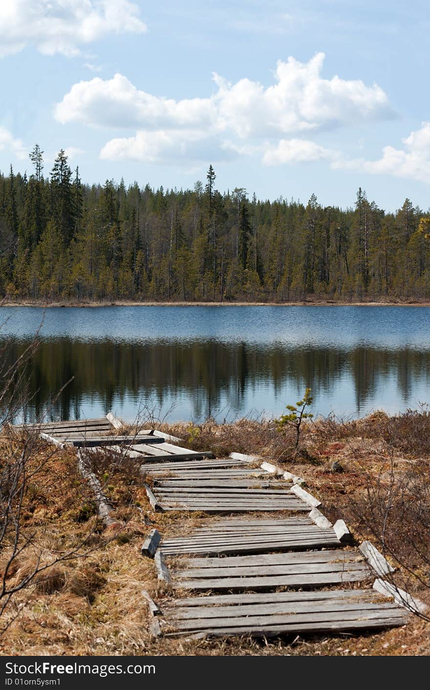 Old wooden pier to lake, coniferous wood, cloud